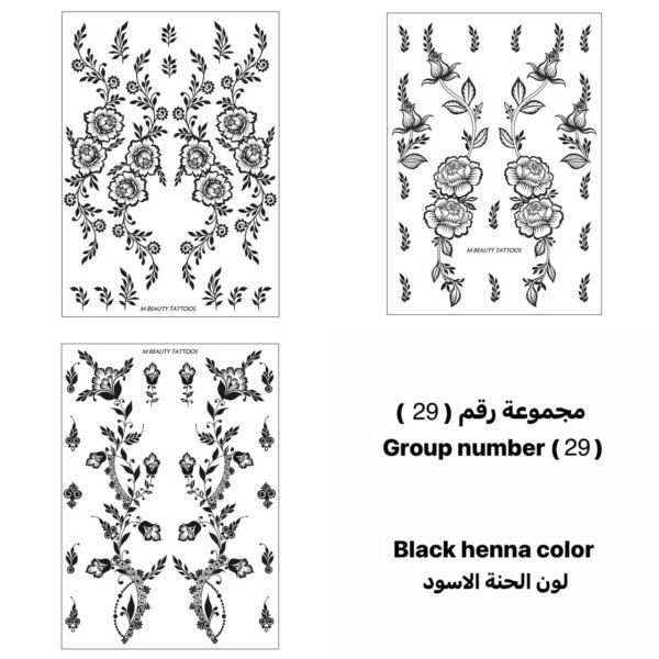 مجموعة رقم 29
