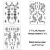 مجموعة رقم 30