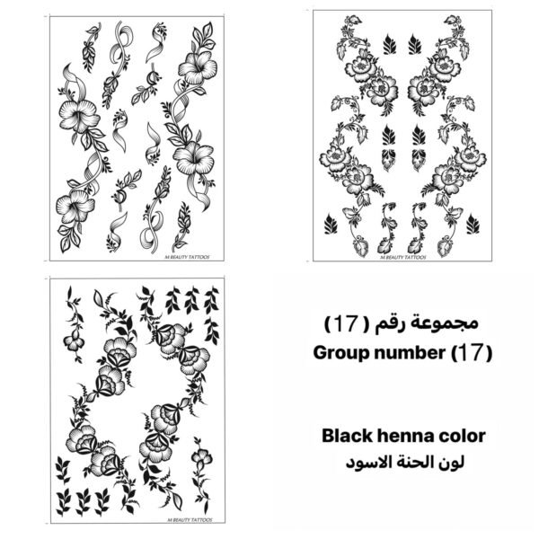مجموعة رقم 17