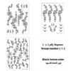 مجموعة رقم 18