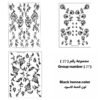 مجموعة رقم 27