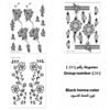 مجموعة رقم 24