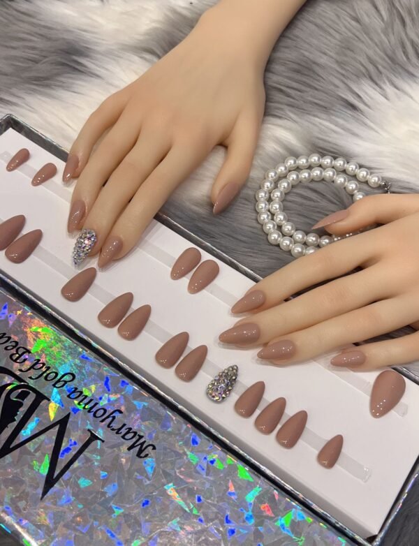 Brown & Colorful Nails