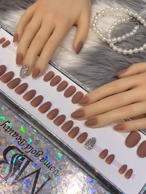 Brown & Colorful Nails